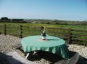 Self-catering holiday cottage - Hedgerows, St Issey, Padstow, North Cornwall, England